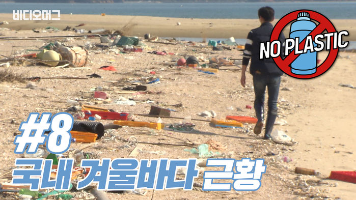 [NO플라스틱#8] 플라스틱 쓰레기 가득 쌓인 국내 겨울바다 근황