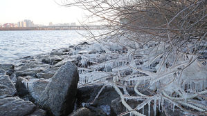 [취재파일] 춥지 않은 겨울…한파일수 1일, 올해는 0일