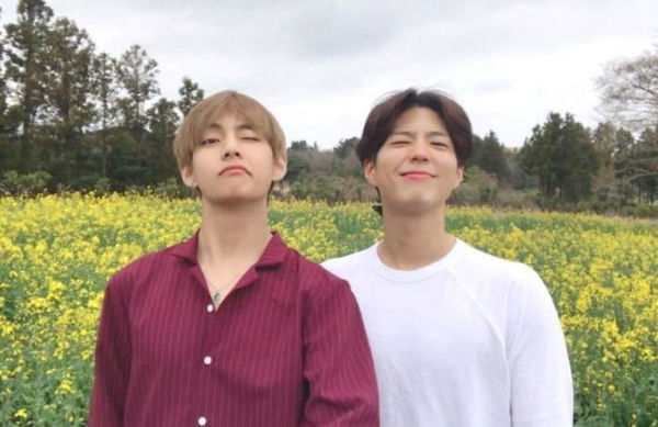 Park Bo Gum & V