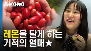 신맛이 단맛으로 바뀌는 신기한 실험 해봄 (feat. 미라클베리)