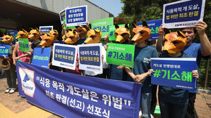 동물권단체 케어, '식용목적 개도살은 위법' 선포식(사진=연합뉴스)