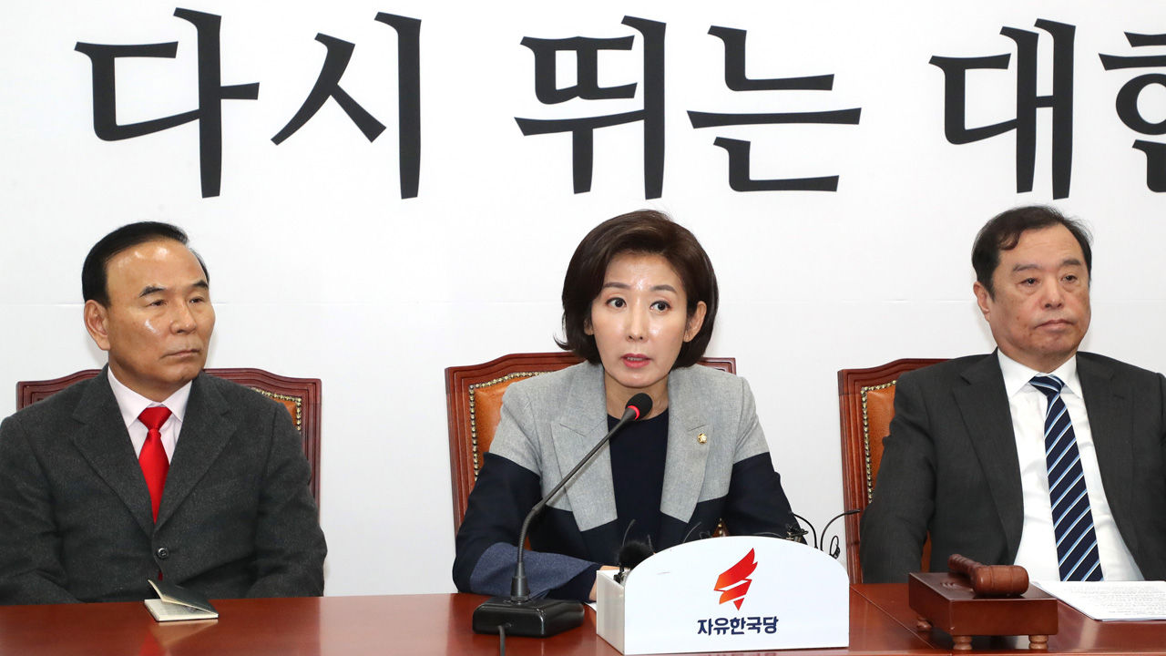 기사 대표 이미지:나경원 "일본 외통수로 몰면 우리 경제 타격 우려 깊어져"