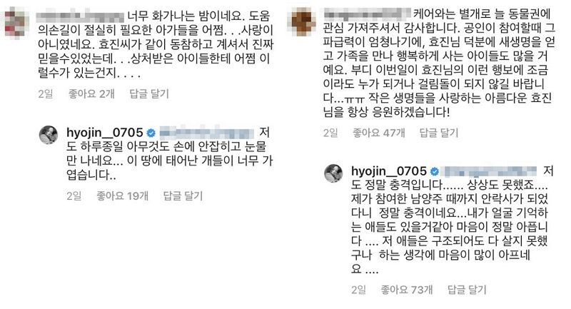 케어 '동물 안락사' 논란에 홍보대사 김효진의 반응