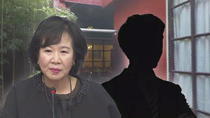 손혜원 의원 차명 의혹
