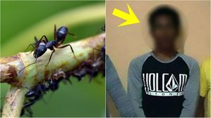 성폭행 당할뻔한 10대 소녀 구해준 뜻밖의 정체