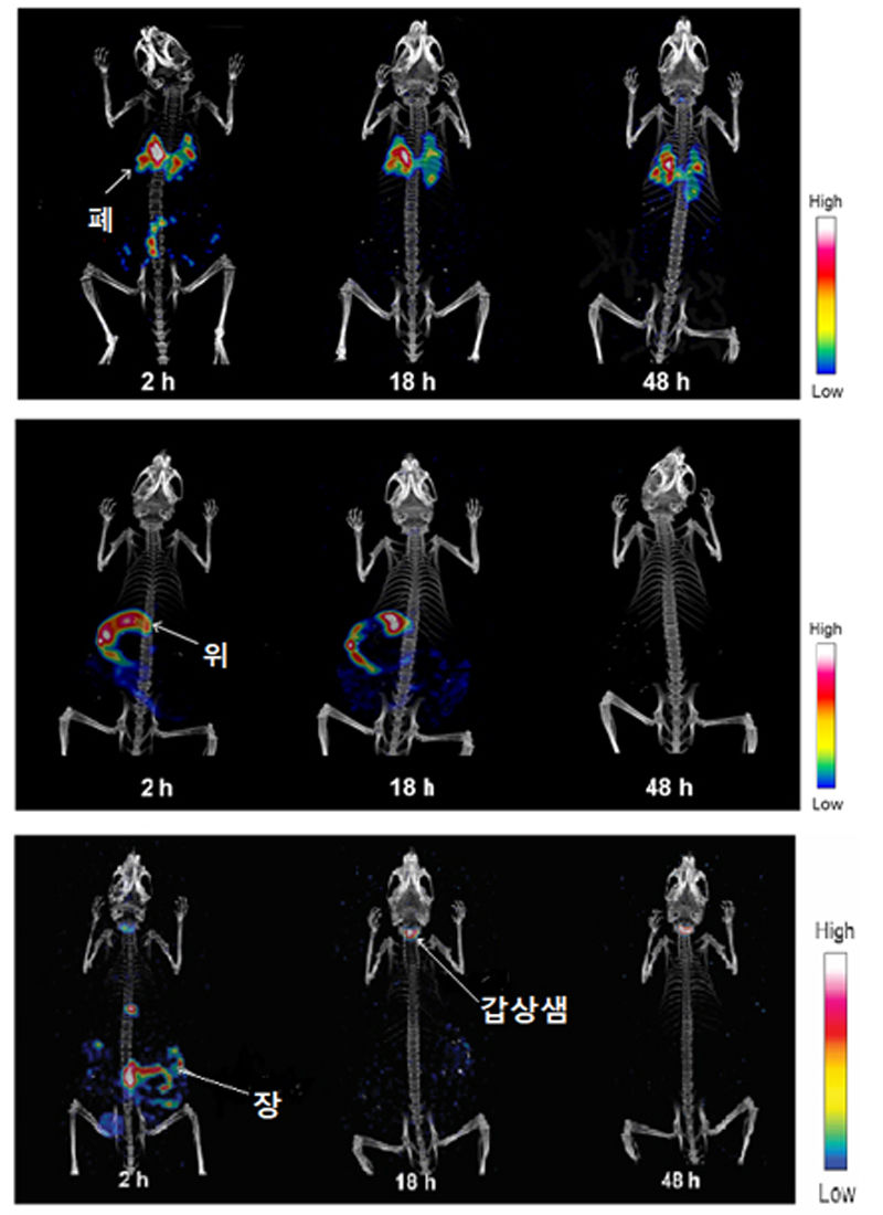 각종 장기에 쌓인 초미세먼지의 시간별 배출 상황 (자료 Lee et al., 2018)