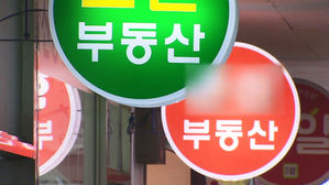 표준지 공시지가도 10% 가까이 인상 전망&hellip;서울은 14.1% 오를 듯