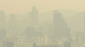 미세먼지