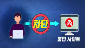 정부 https 불법사이트 차단 논란