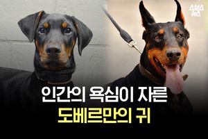 관련 사진