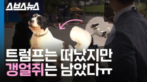 관련 사진