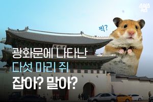 관련 사진