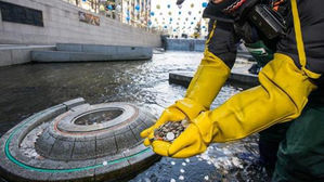 청계천 '행운의 동전' 4천만 원, 장학금&middot;유니세프 성금으로