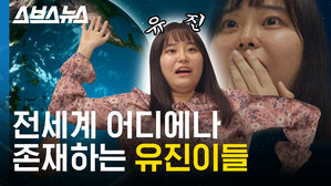 관련 사진