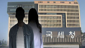 1인 회사 탈루