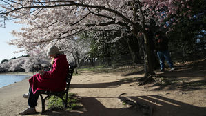 [취재파일] 커지는 일교차…20도 이상, 4월이 가장 심해