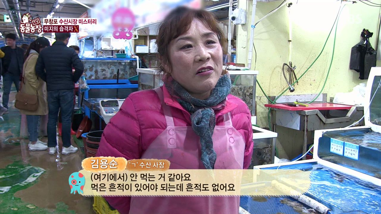 밤마다 수산시장서 비싼 횟감만 훔쳐 달아나는 범인의 놀라운 정체