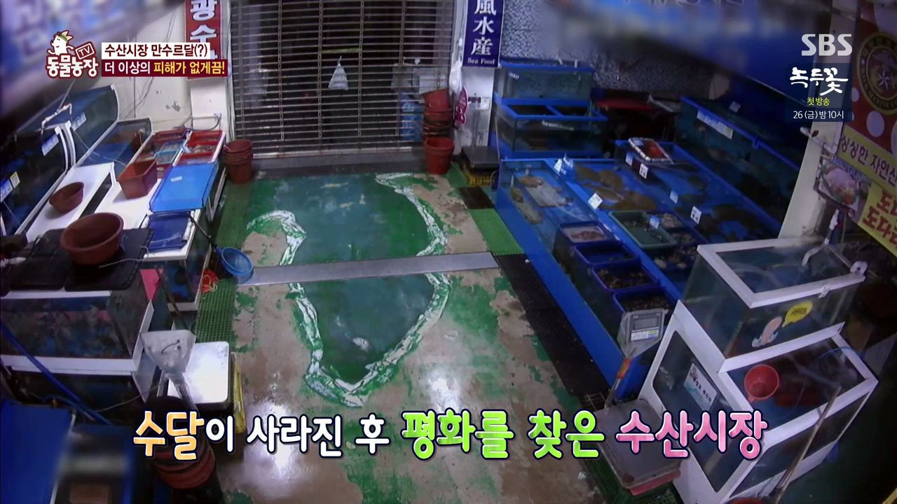 밤마다 수산시장서 비싼 횟감만 훔쳐 달아나는 범인의 놀라운 정체
