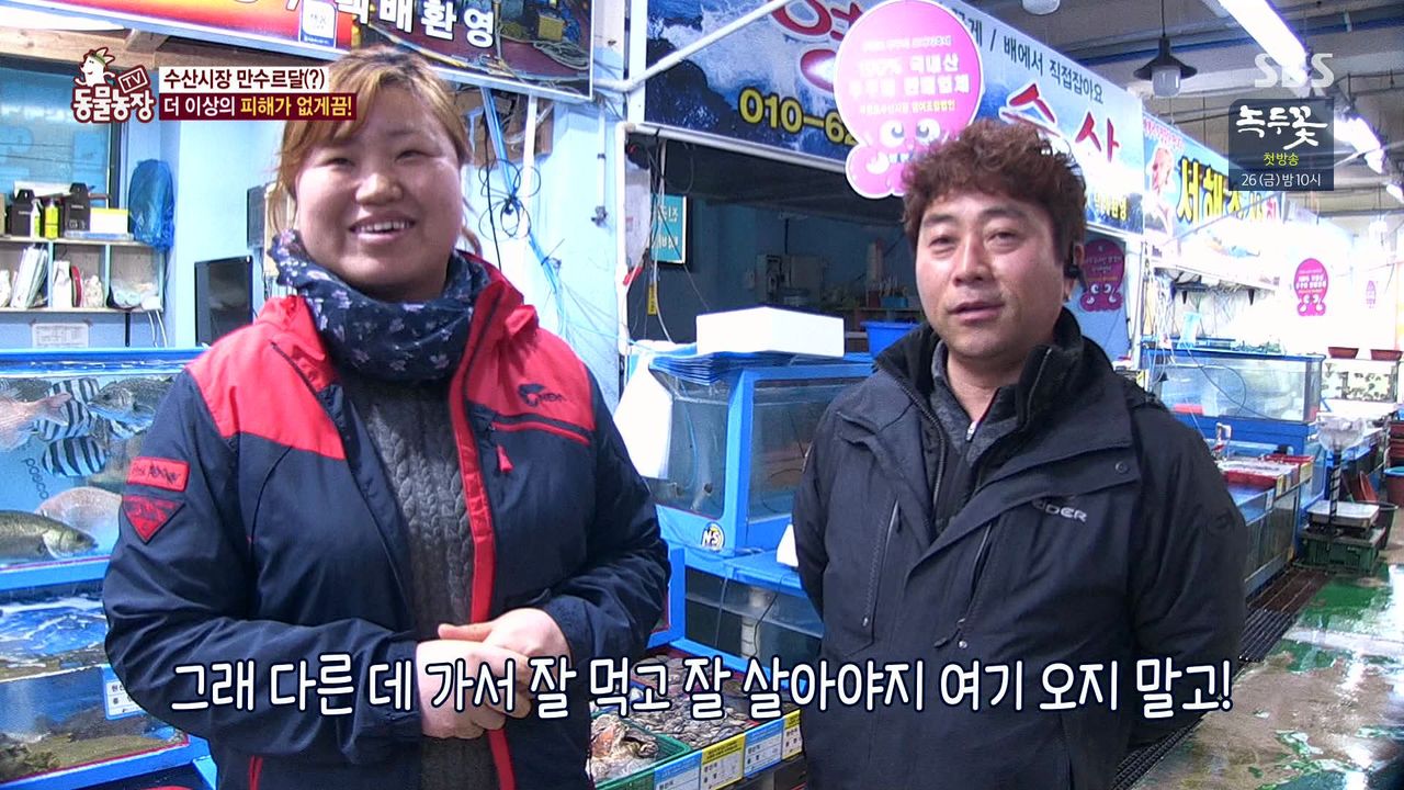밤마다 수산시장서 비싼 횟감만 훔쳐 달아나는 범인의 놀라운 정체