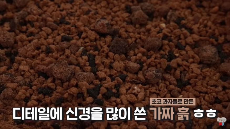 선인장(?) 먹는 홍윤화 몰래카메라에 남편 김민기 반응…누리꾼 '폭소'