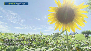 [HOT 브리핑] 노래 바람의 빛깔