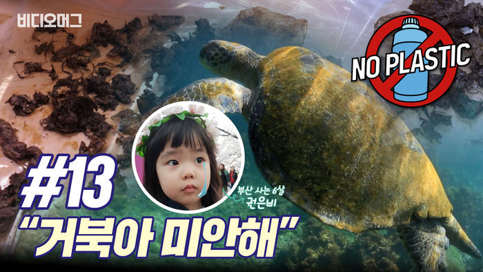 [NO플라스틱 #13] 6살 꼬마가 3살 거북이에게 사과한 이유 (feat. 플라스틱 쓰레기)