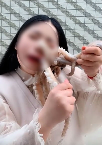 살아있는 문어 먹방 찍으려다 살점 뜯긴 유튜버