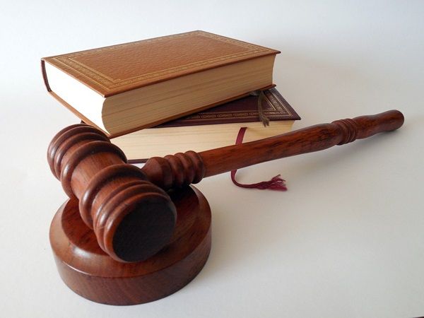동물 학대 재판에 등장한 '증인'의 놀라운 정체