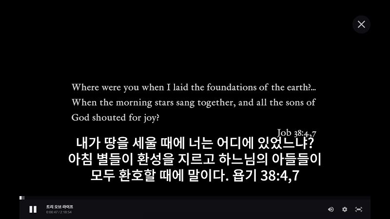 불법 자막 사용한 왓챠플레이 '충격'