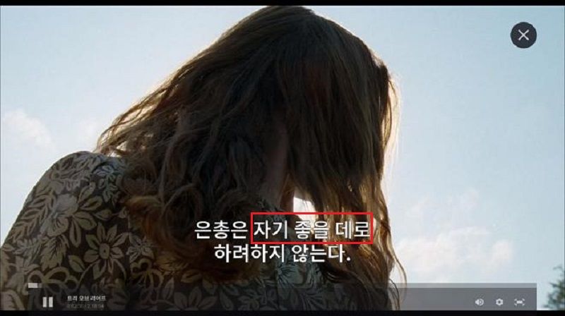 불법 자막 사용한 왓챠플레이 '충격'