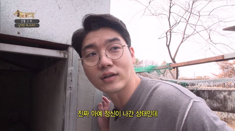 강원도 산불 트라우마 반려견 금비 (사진=EBS 세상에 나쁜 개는 없다 방송화면 캡처)