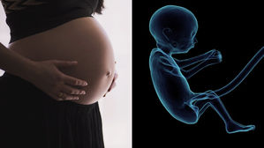 픽사베이