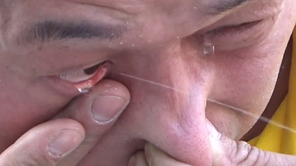 '눈물 스프레이'로 꽃에 물 주는 쿵푸 마스터