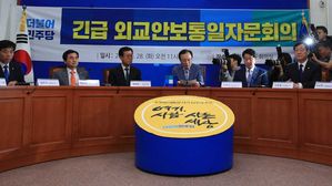 민주당 긴급 외교안보통일자문회의 (사진=연합뉴스)