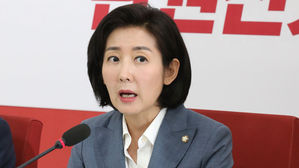 나경원 원내대표 (사진=연합뉴스)