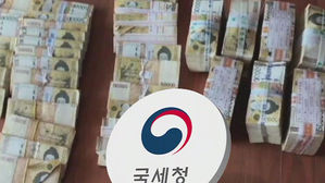 국세청, 고액 체납자 재산 은닉