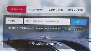 자동차보험료 조회 서비스 오픈