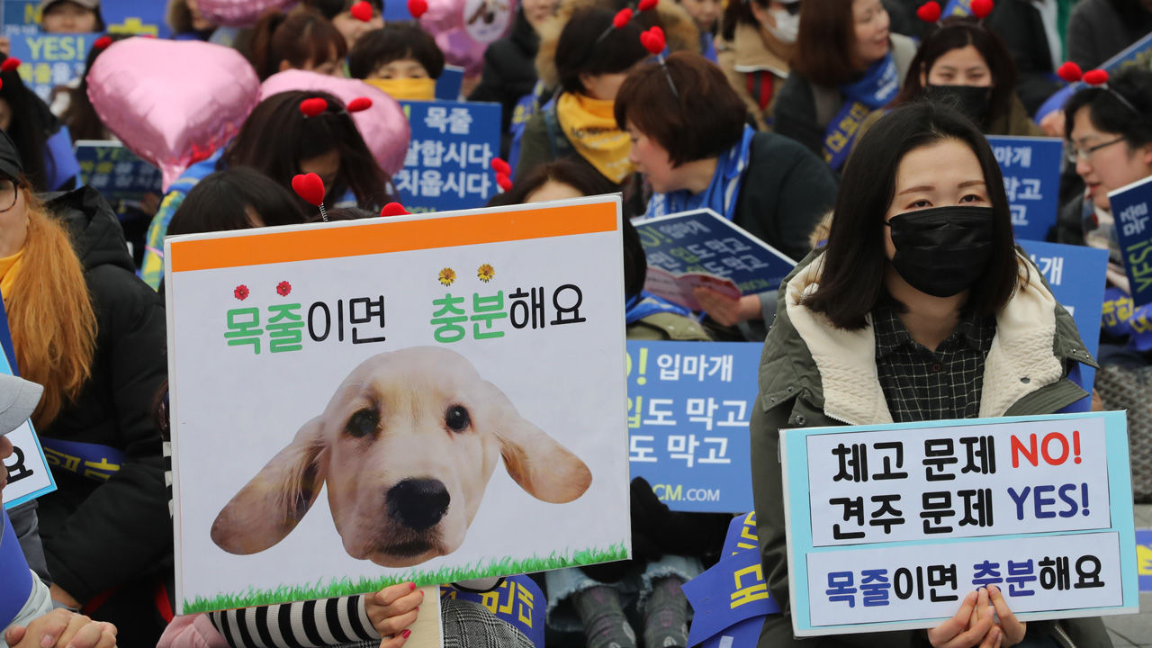 동물권단체 케어 회원들이 4일 오후 서울 광화문 세종문화회관 옆 광장에서 농림축산식품부의 체고 40㎝이상 반려견 입마개 의무화 방침에 반대하는 거리시위를 열고 있다.