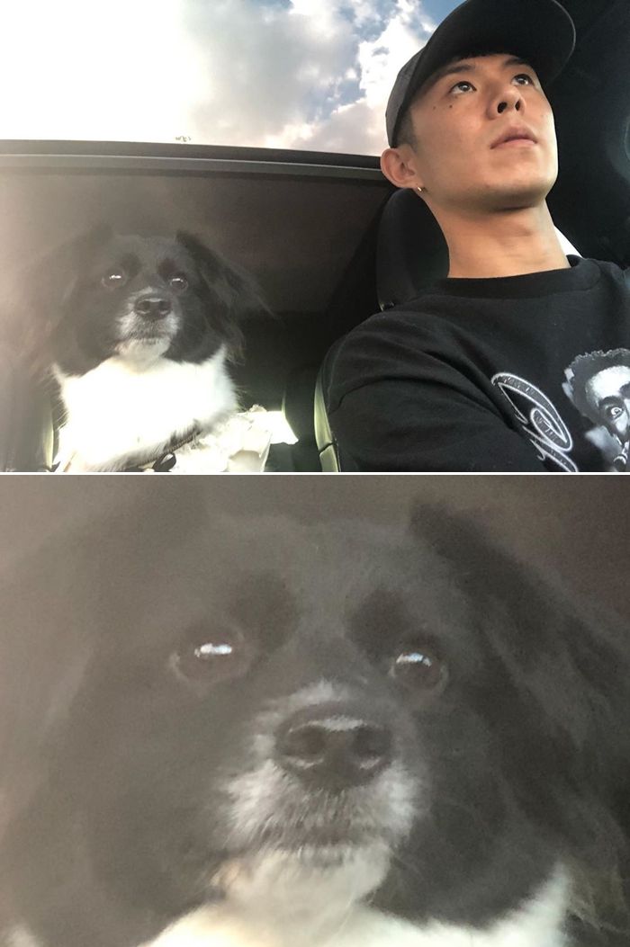 유기견 입양 후 '개 아빠'된 빈지노 근황