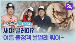 비오다갬 23회