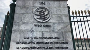 日언론 "WTO, 일반이사회서 日 수출규제 논의키로"