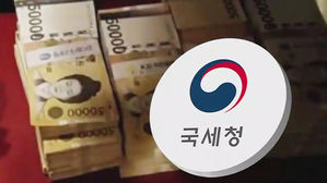 국세청, 탈세 적발