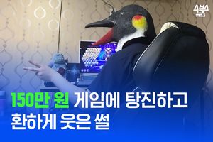 관련 사진