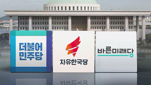 중러 영공 침범 여야 반응