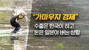 가마우지 경제