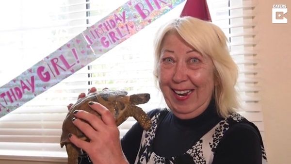 세계에서 가장 나이 많은 반려동물…121살 생일 맞은 거북이