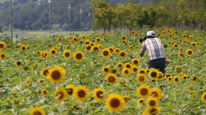 여름 끝, 가을 시작&hellip;오늘 비 내리고 폭염 특보 모두 해제