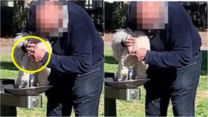 공원 식수대 꼭지에 대고 반려견 항문 씻긴 남성 '뭇매'