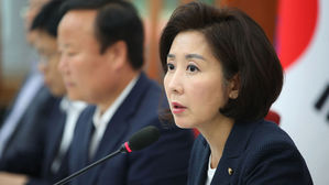 나경원 원내대표 (사진=연합뉴스)