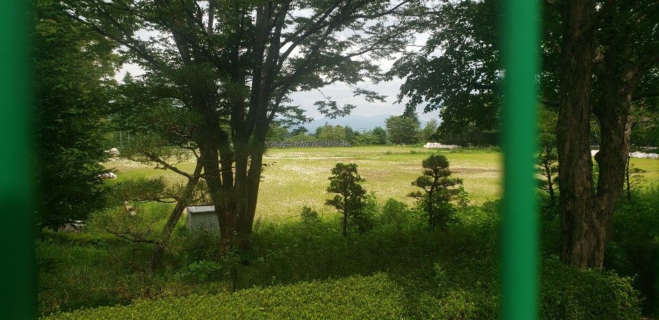 [취재파일] 후쿠시마 야구장, 지금 방사선량은 어느 정도? (유성재)